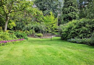 Optimiser l'expérience du jardin à Vitrai-sous-Laigle