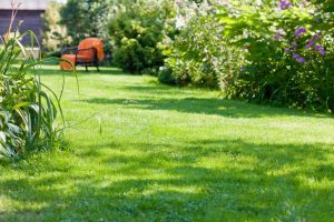 travaux jardin et paysage Vitrai-sous-Laigle